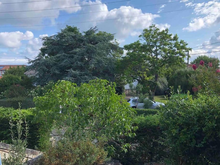 Maison A Arcachon Avec Piscine Hors-Sol Eksteriør bilde