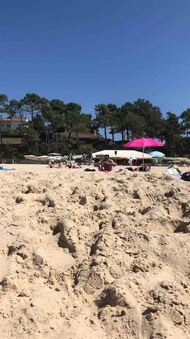 Maison A Arcachon Avec Piscine Hors-Sol Eksteriør bilde