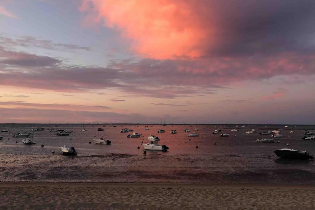 Maison A Arcachon Avec Piscine Hors-Sol Eksteriør bilde
